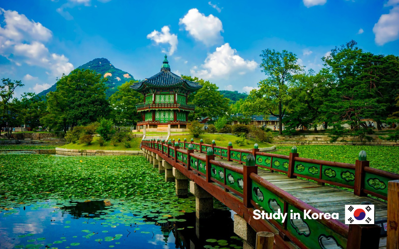 Study in Korea